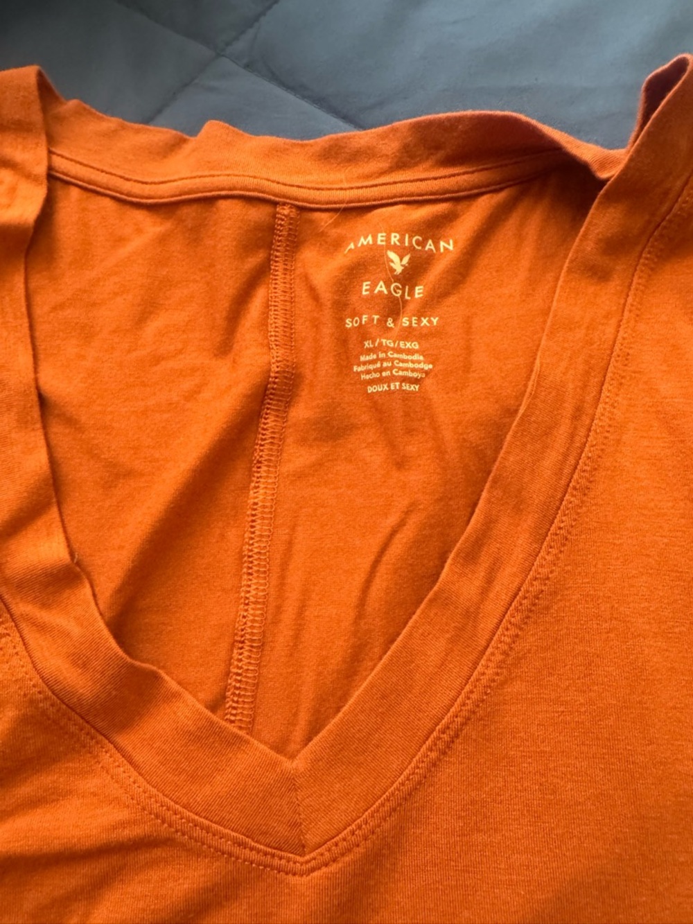 American Eagle Outfitters Soft & Sexy V-Neck Tee in Burnt Orange